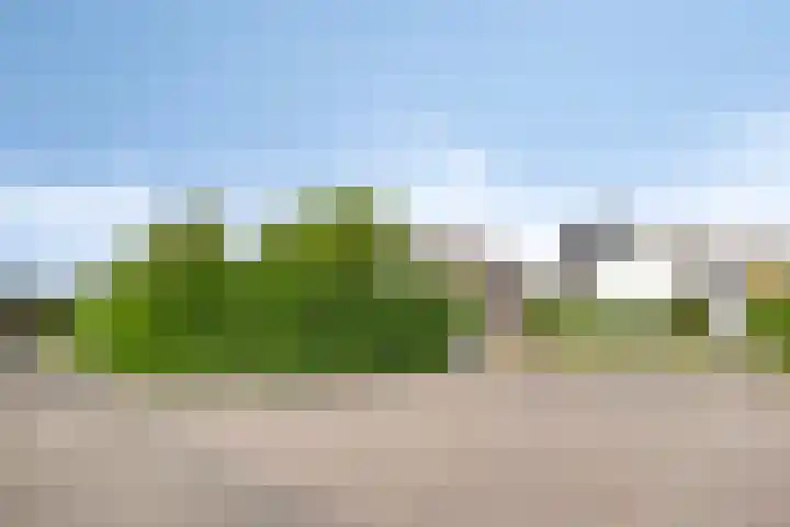 Limpenshof 24 Beek thumbnail 49