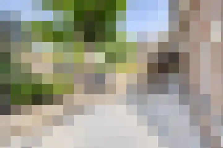 Limpenshof 24 Beek thumbnail 5