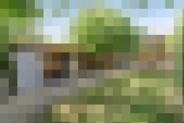 Limpenshof 24 Beek thumbnail 51