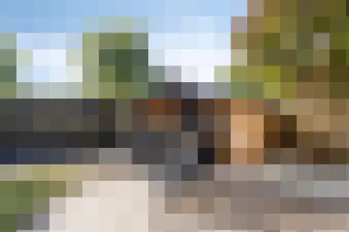 Limpenshof 24 Beek thumbnail 52