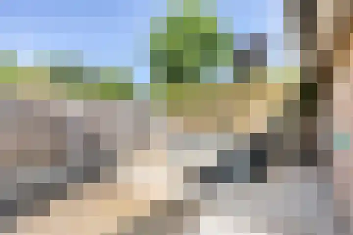 Limpenshof 24 Beek thumbnail 55