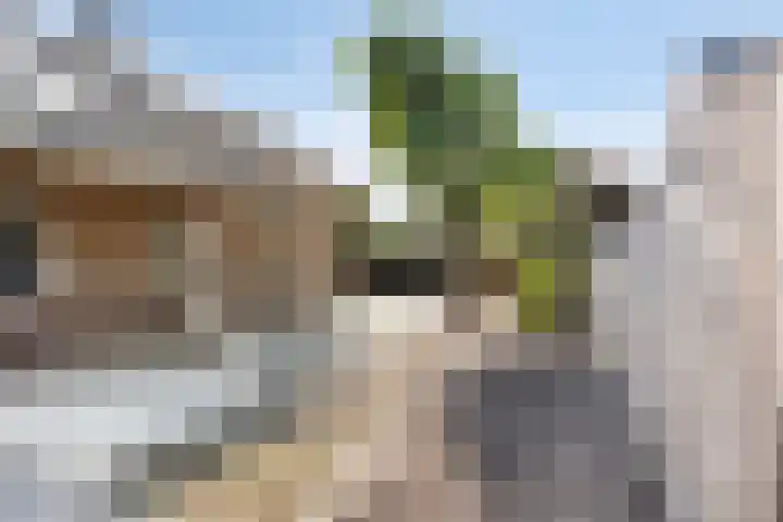 Limpenshof 24 Beek thumbnail 56