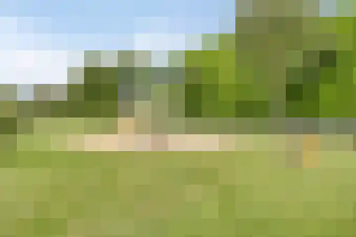 Limpenshof 24 Beek thumbnail 63