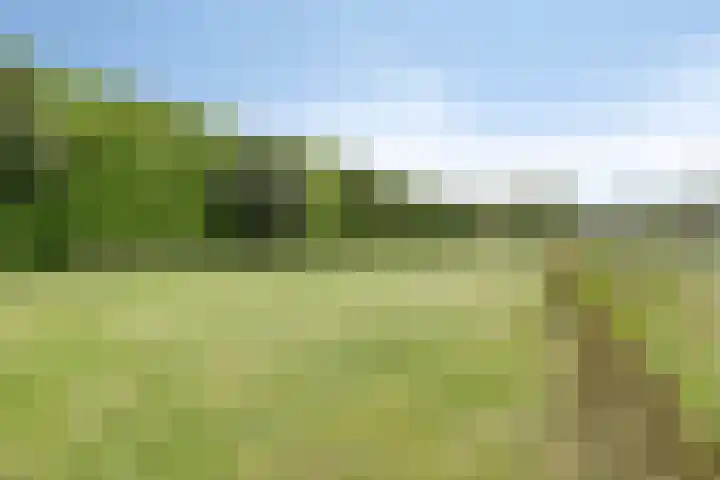 Limpenshof 24 Beek thumbnail 65