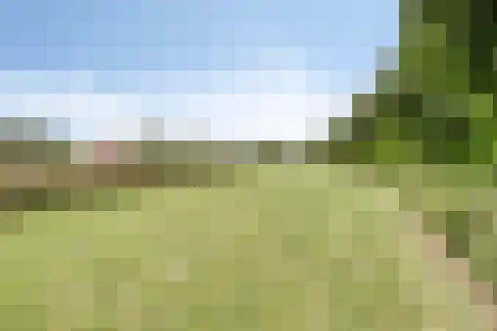 Limpenshof 24 Beek thumbnail 66
