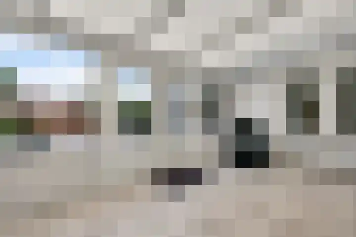 Limpenshof 29 Beek thumbnail 4