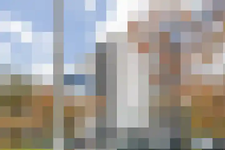 Linatestraat 101 Tilburg thumbnail 50