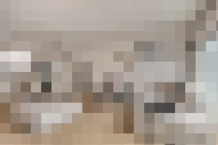 Lincolnlaan 30 Goes thumbnail 10