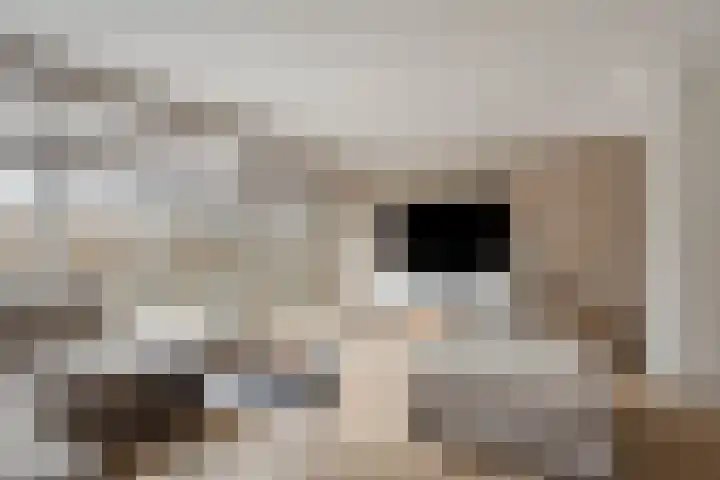 Lincolnlaan 30 Goes thumbnail 11