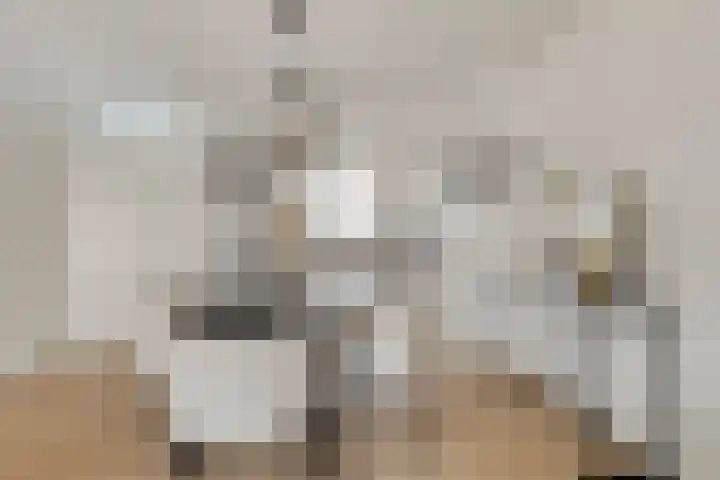 Lincolnlaan 30 Goes thumbnail 13