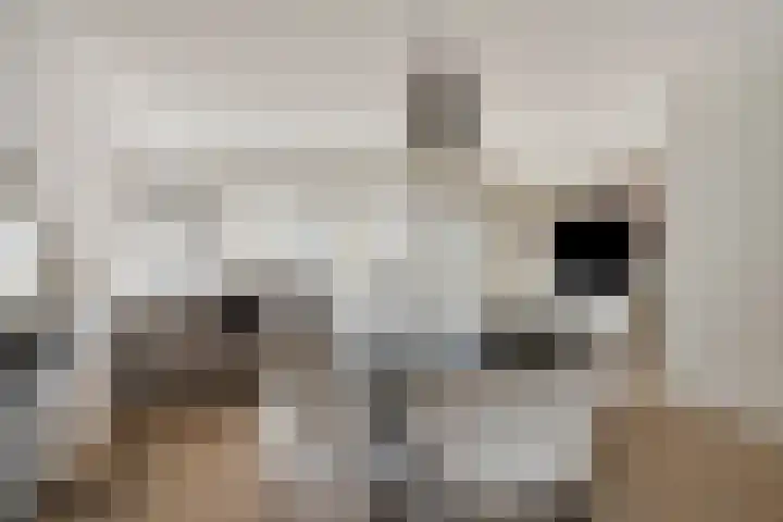 Lincolnlaan 30 Goes thumbnail 15