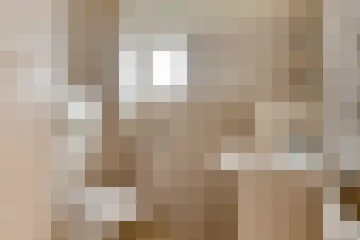 Lincolnlaan 30 Goes thumbnail 25