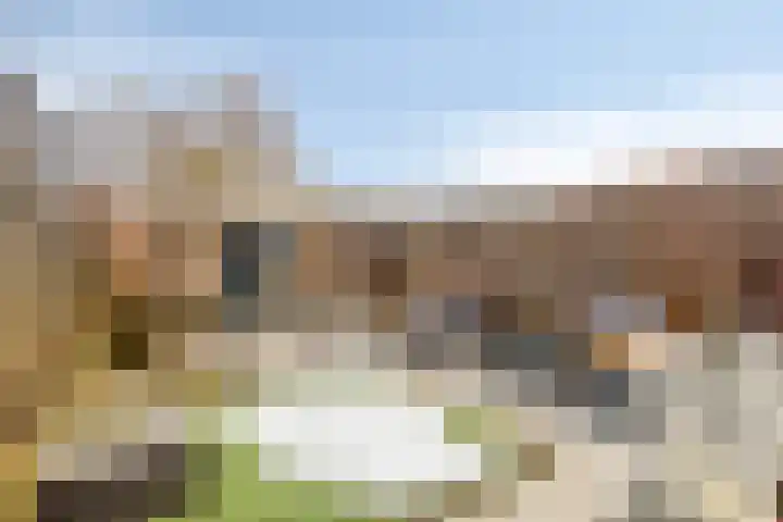 Lincolnlaan 30 Goes thumbnail 32