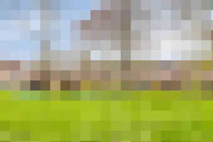 Lincolnlaan 30 Goes thumbnail 34