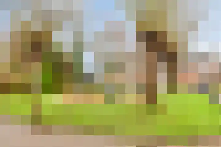 Lincolnlaan 30 Goes thumbnail 36