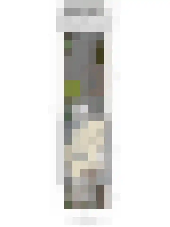 Lincolnlaan 30 Goes thumbnail 38