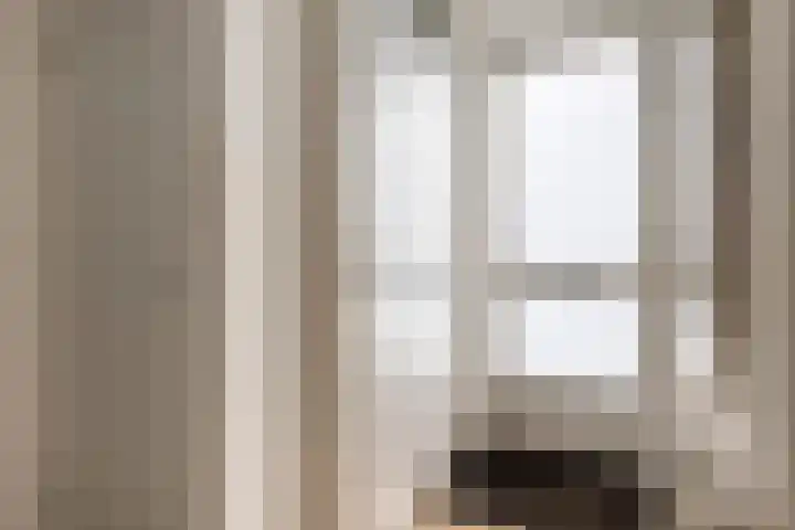 Lincolnlaan 30 Goes thumbnail 6