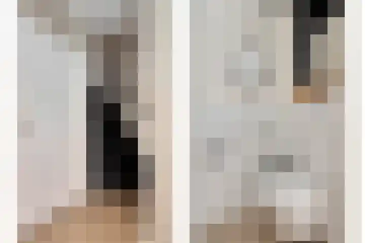 Lincolnlaan 30 Goes thumbnail 7