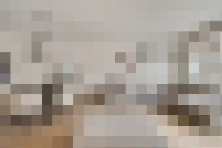 Lincolnlaan 30 Goes thumbnail 9