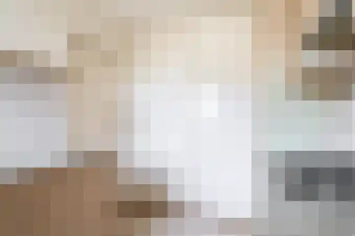 Lincolnplein 1 Oude-Tonge thumbnail 10
