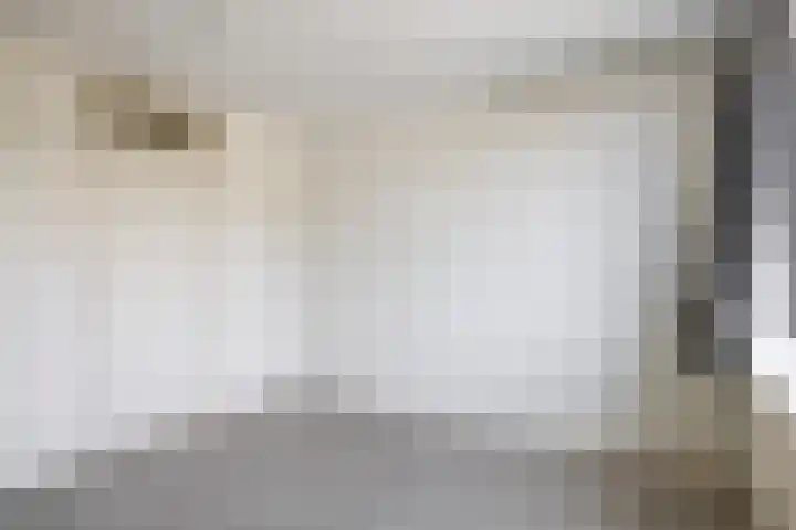 Lincolnplein 1 Oude-Tonge thumbnail 15