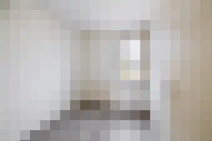 Lincolnplein 1 Oude-Tonge thumbnail 17