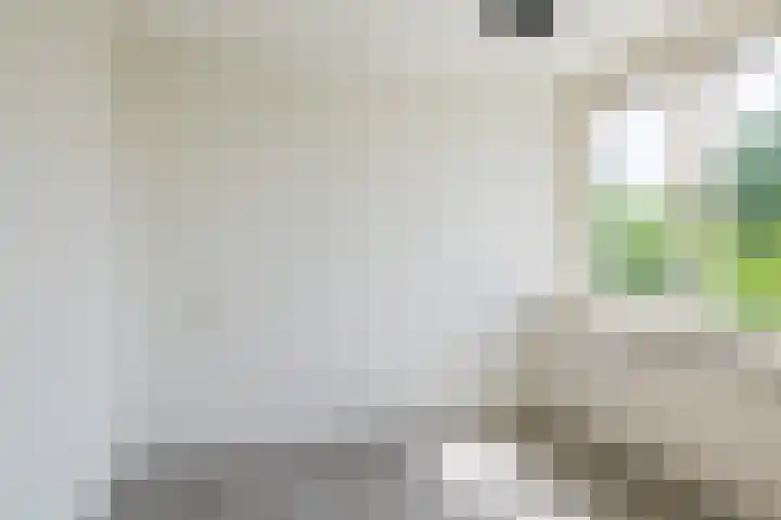 Lincolnplein 1 Oude-Tonge thumbnail 18