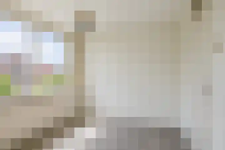 Lincolnplein 1 Oude-Tonge thumbnail 19
