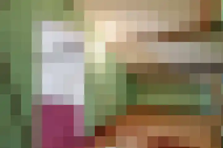 Lincolnplein 1 Oude-Tonge thumbnail 23
