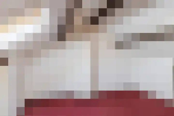 Lincolnplein 1 Oude-Tonge thumbnail 24