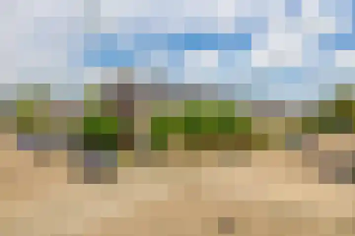 Lincolnplein 1 Oude-Tonge thumbnail 26