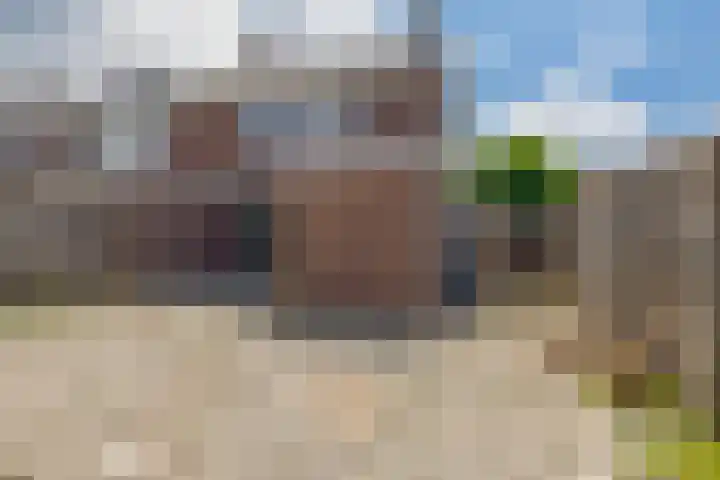 Lincolnplein 1 Oude-Tonge thumbnail 28