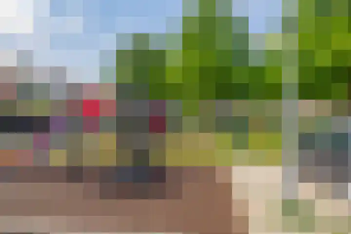 Lincolnplein 1 Oude-Tonge thumbnail 33