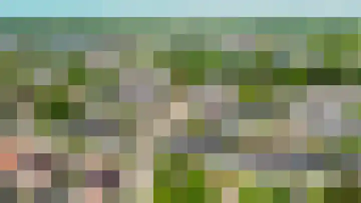 Lincolnplein 1 Oude-Tonge thumbnail 34