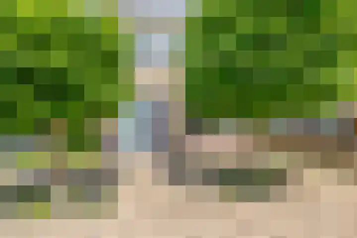 Lincolnplein 1 Oude-Tonge thumbnail 4