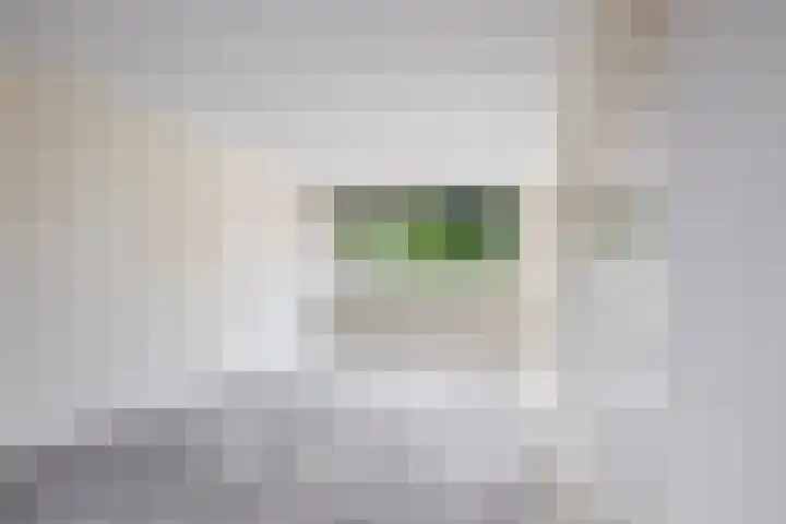 Lincolnplein 1 Oude-Tonge thumbnail 7