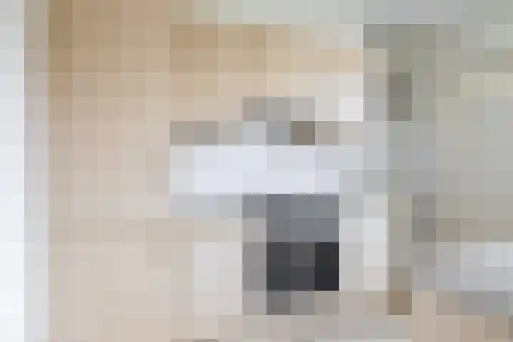 Lincolnplein 1 Oude-Tonge thumbnail 8