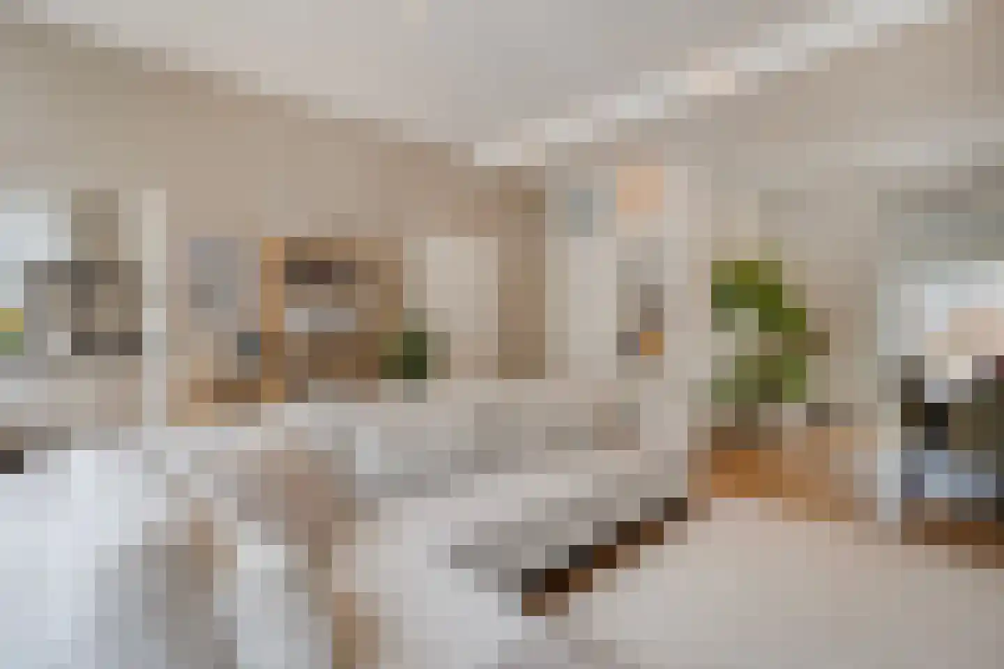 Lindanusstraat 1 Roermond thumbnail 16