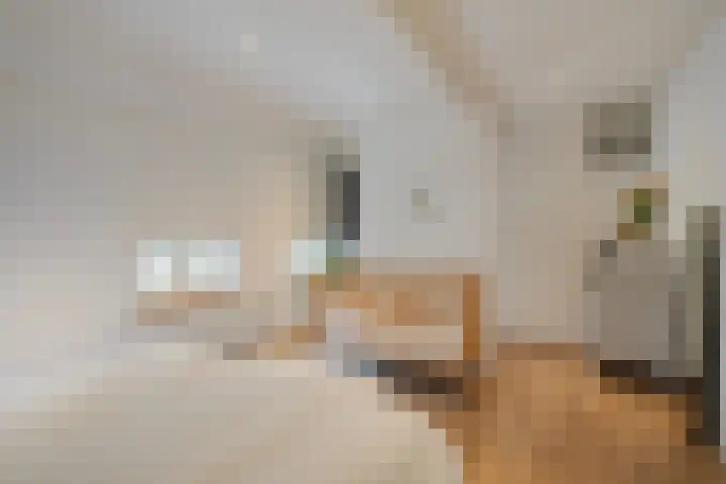 Lindanusstraat 1 Roermond thumbnail 27