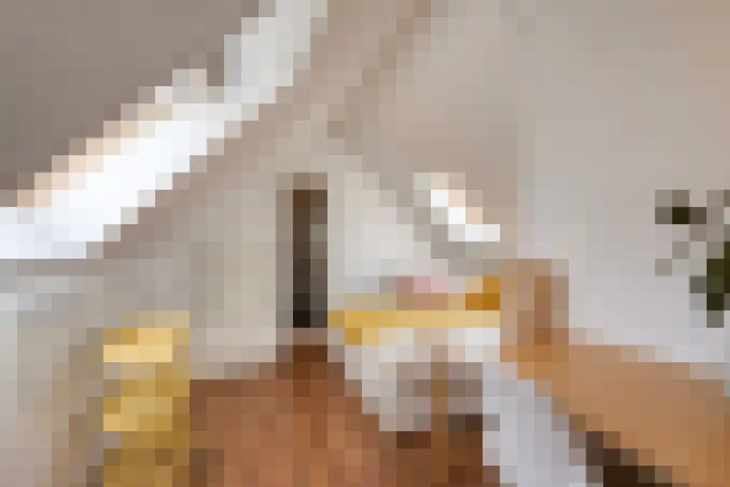 Lindanusstraat 1 Roermond thumbnail 34