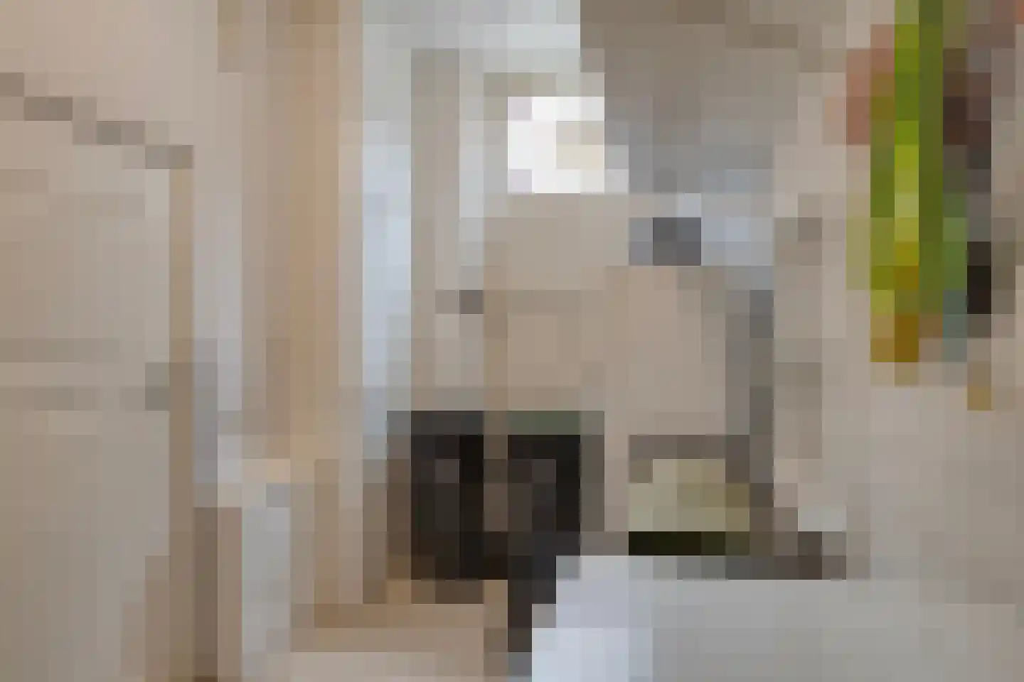 Lindanusstraat 1 Roermond thumbnail 38