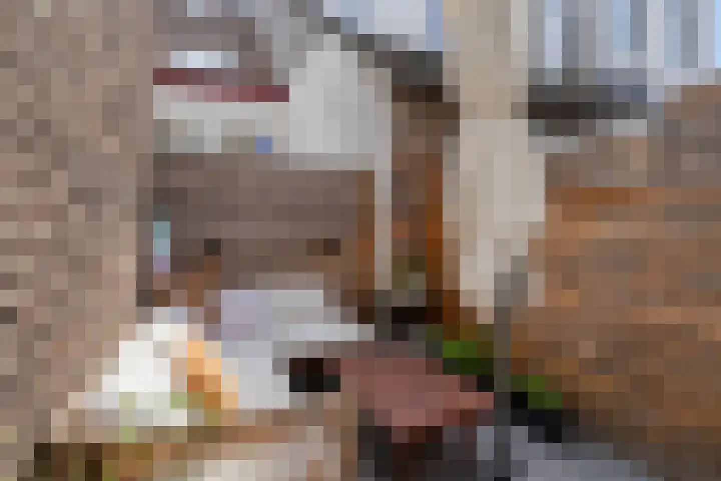 Lindanusstraat 1 Roermond thumbnail 40