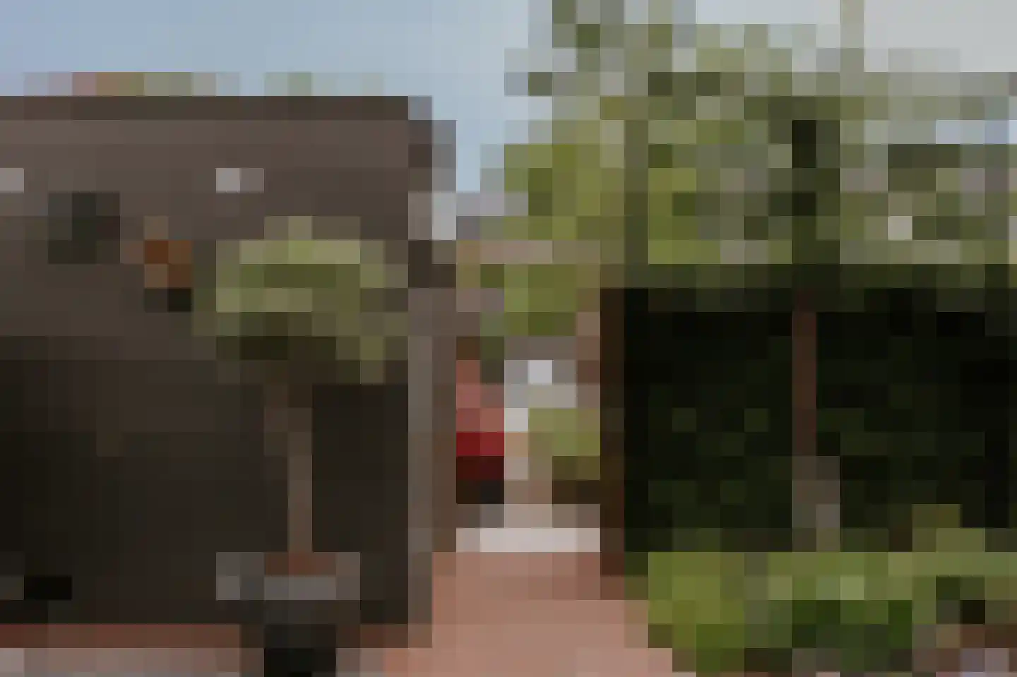 Lindanusstraat 2 B Roermond thumbnail 25