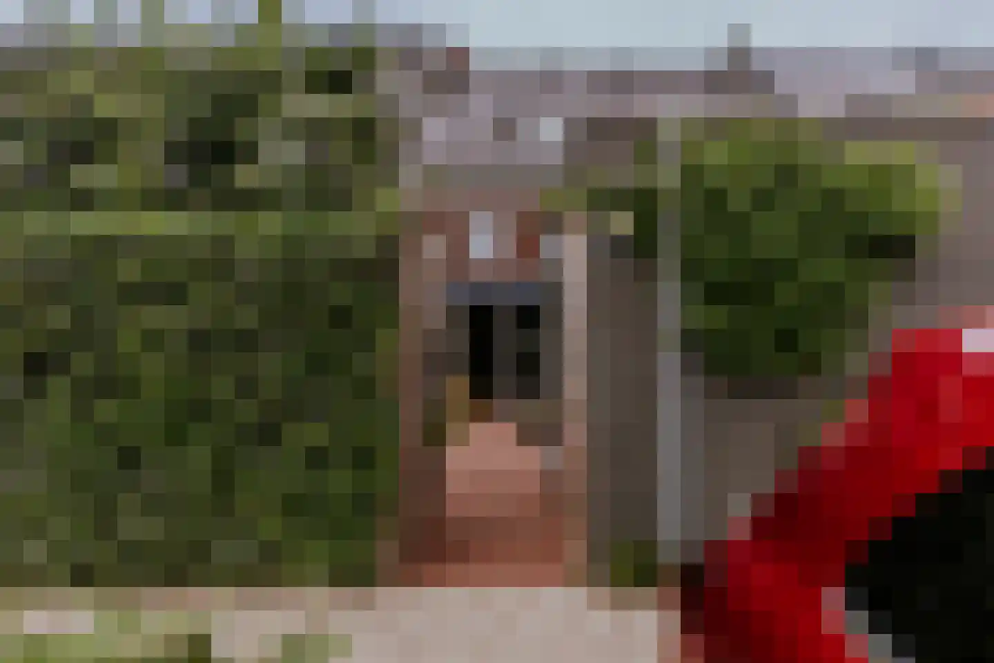 Lindanusstraat 2 B Roermond thumbnail 26