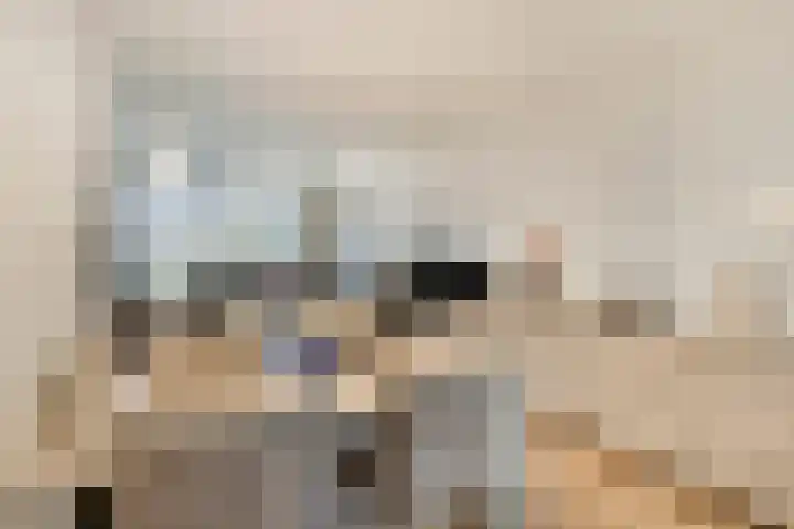 Lindanusstraat 2 Helden thumbnail 12