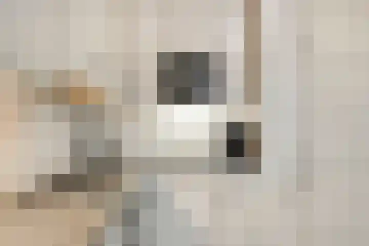 Lindanusstraat 2 Helden thumbnail 14