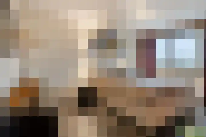 Lindanusstraat 2 Helden thumbnail 17
