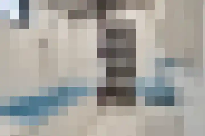 Lindanusstraat 2 Helden thumbnail 19