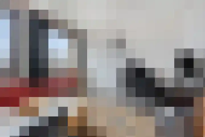 Lindanusstraat 2 Helden thumbnail 21