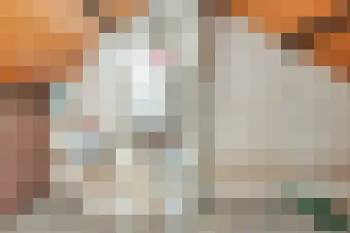 Lindanusstraat 2 Helden thumbnail 24